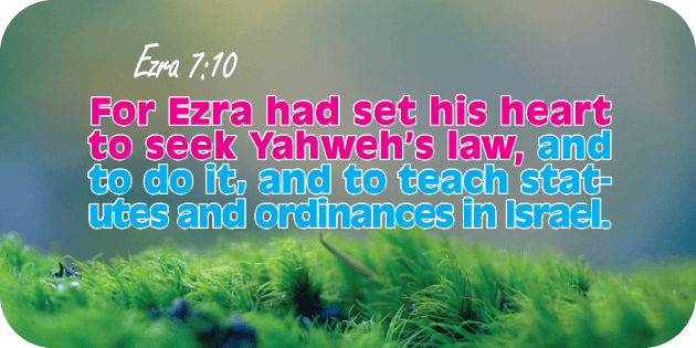 Ezra 7 10