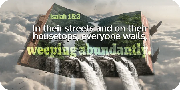 Isaiah 15 3