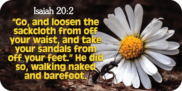 Isaiah 20 2