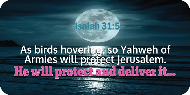 Isaiah 31 5