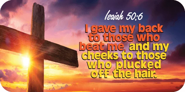 Isaiah 50 6