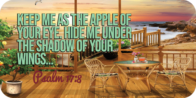 Psalm 17 8