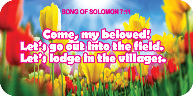Song of Solomon 7 11