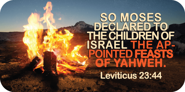 Leviticus 23 44