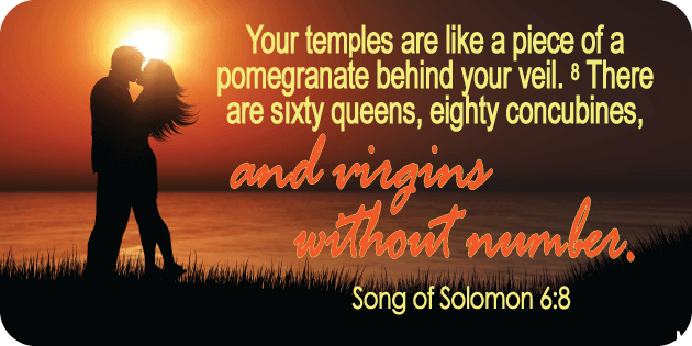Song of Solomon 6 8