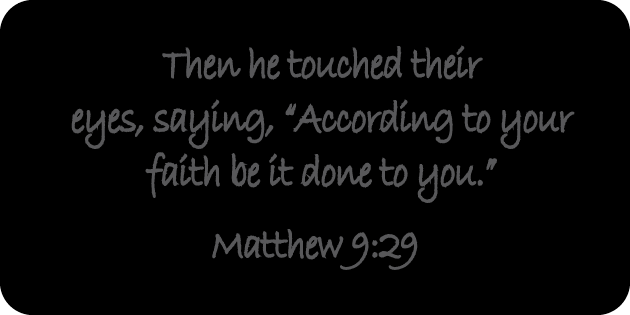 Matthew 9 29