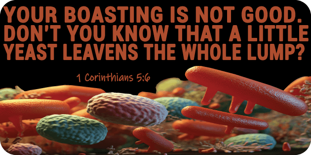 1 Corinthians 5 6
