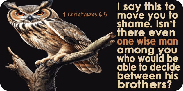 1 Corinthians 6 5