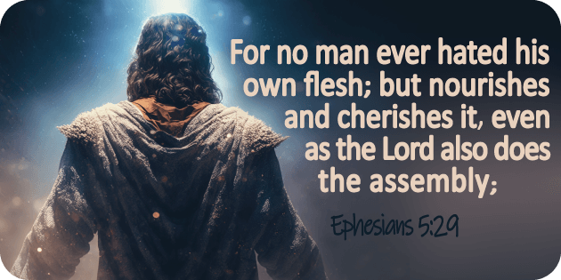 Ephesians 5 29
