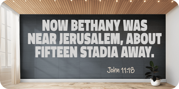 John 11 18