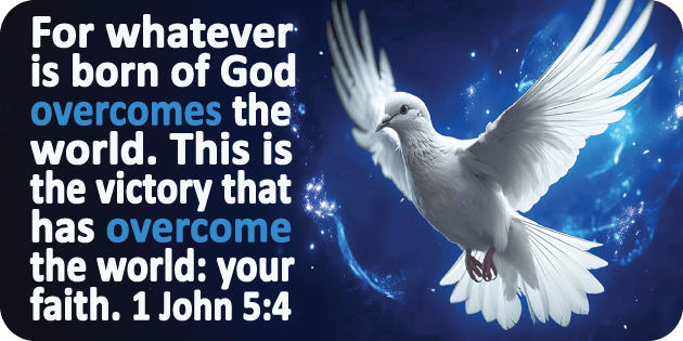 1 John 5 4