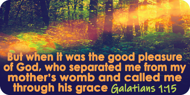 Galatians 1 15