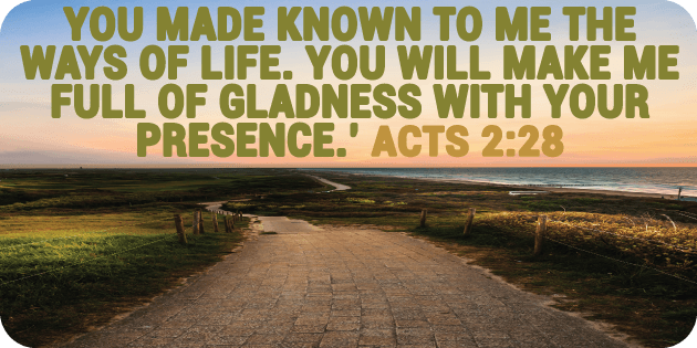 Acts 2 28