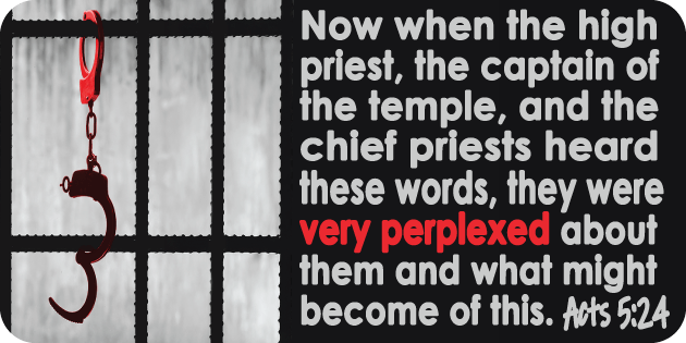 Acts 5 24