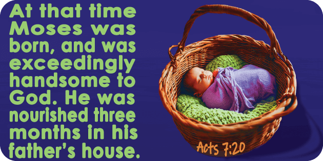 Acts 7 20