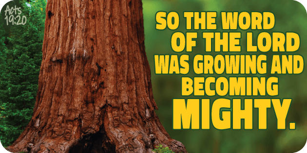 Acts 19 20