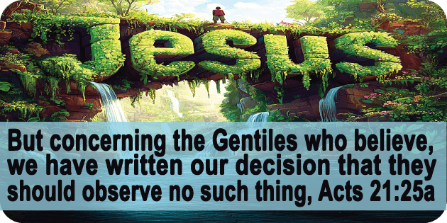 Acts 21 25a
