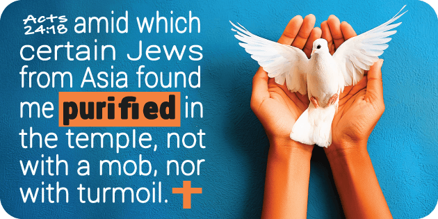 Acts 24 18