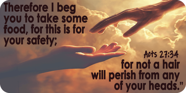 Acts 27 34