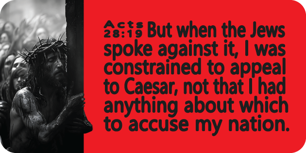 Acts 28 19