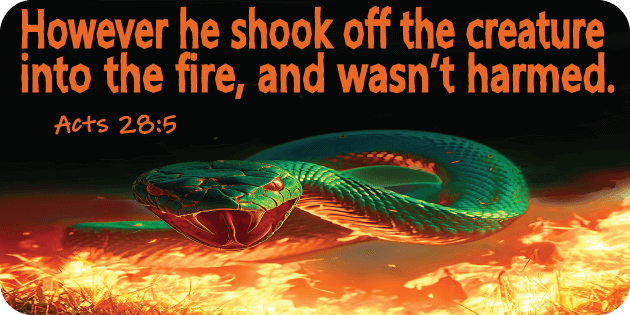 Acts 28 5