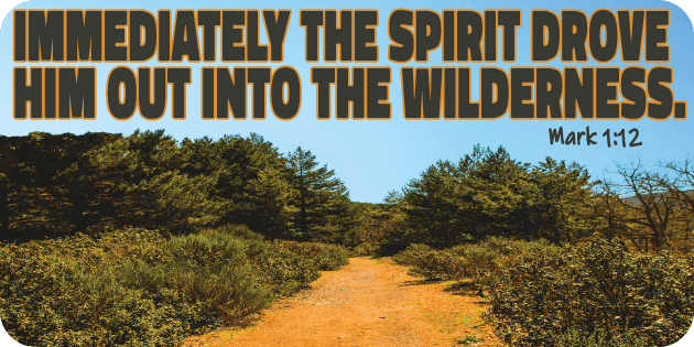 Mark 1 12