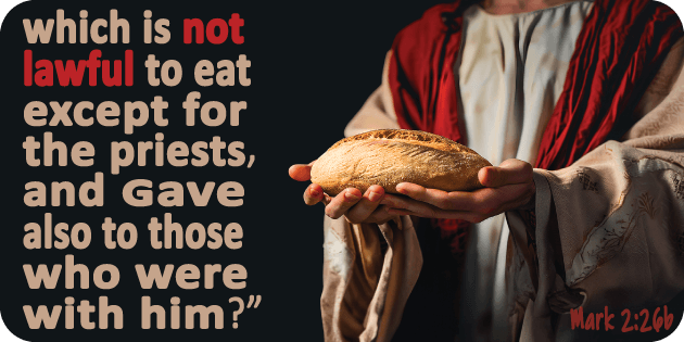 Mark 2 26b