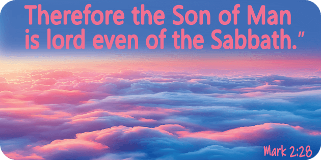 Mark 2 28