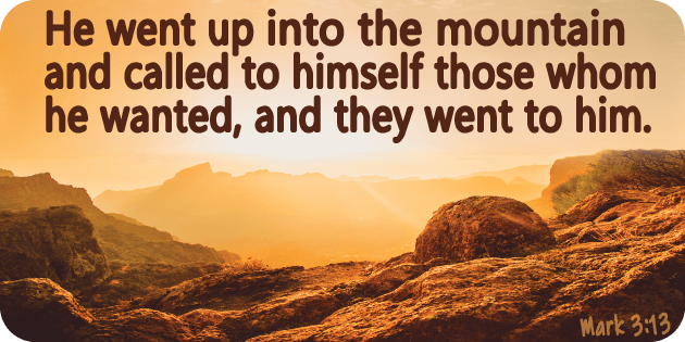 Mark 3 13