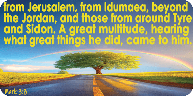Mark 3 8