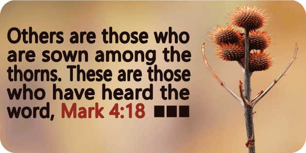 Mark 4 18