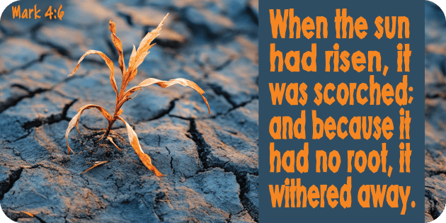 Mark 4 6
