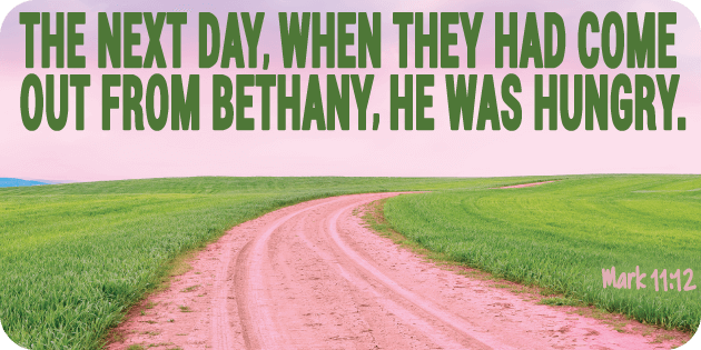 Mark 11 12 Mark 11 12