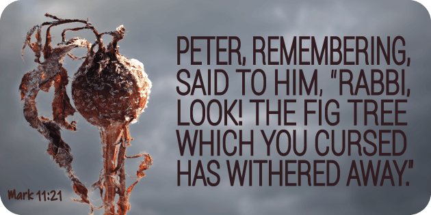 Mark 11 21 Mark 11 21