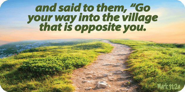 Mark 11 2a Mark 11 2a