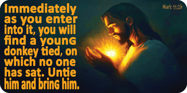 Mark 11 2b Mark 11 2b