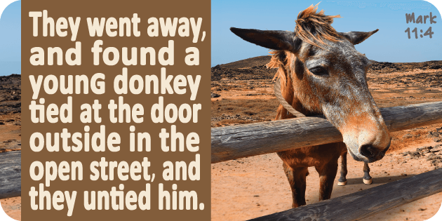 Mark 11 4 Mark 11 4