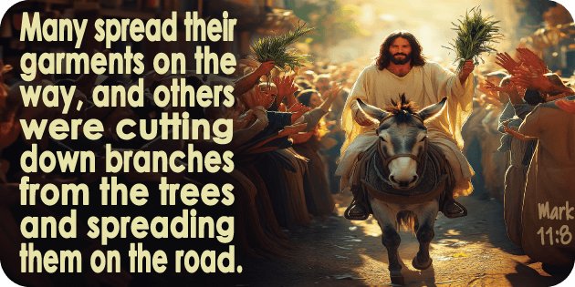 Mark 11 8 Mark 11 8