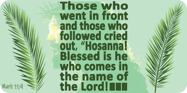 Mark 11 9 Mark 11 9