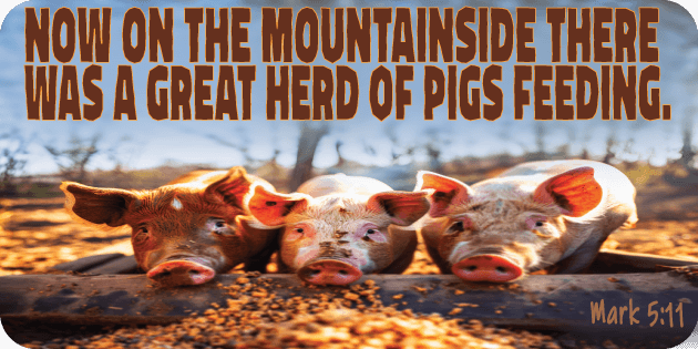 Mark 5 11