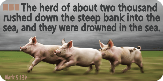 Mark 5 13b