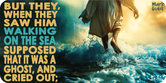 Mark 6 49