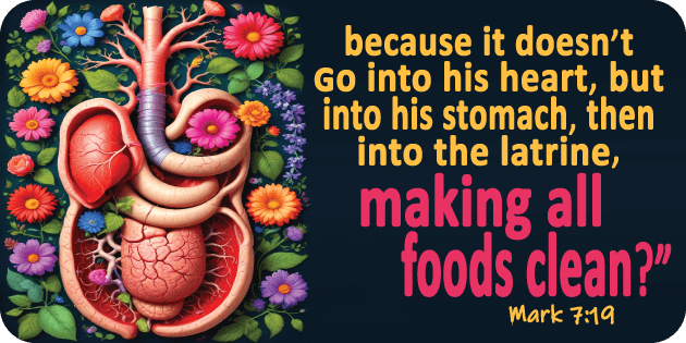 Mark 7 19
