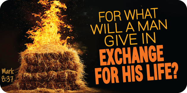 Mark 8 37