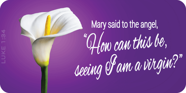 Luke 1 34