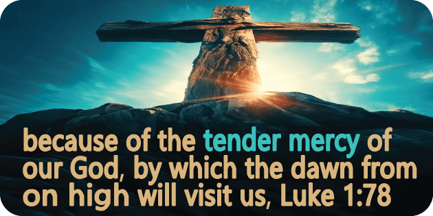 Luke 1 78