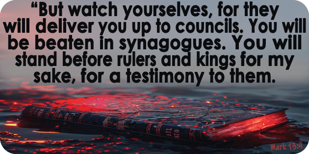 Mark 13 9