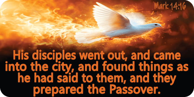 Mark 14 16