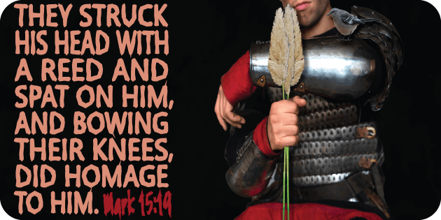 Mark 15 19