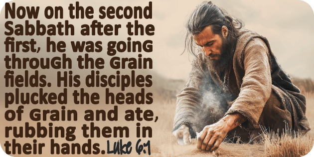 Luke 6 1
